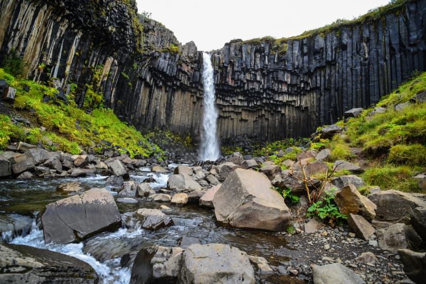 The famous Svartifoss waterfall and its basalt columns on the Skaftafellsheidi hiking trail loop. Skaftafell, Vatnajökull National Park, Iceland