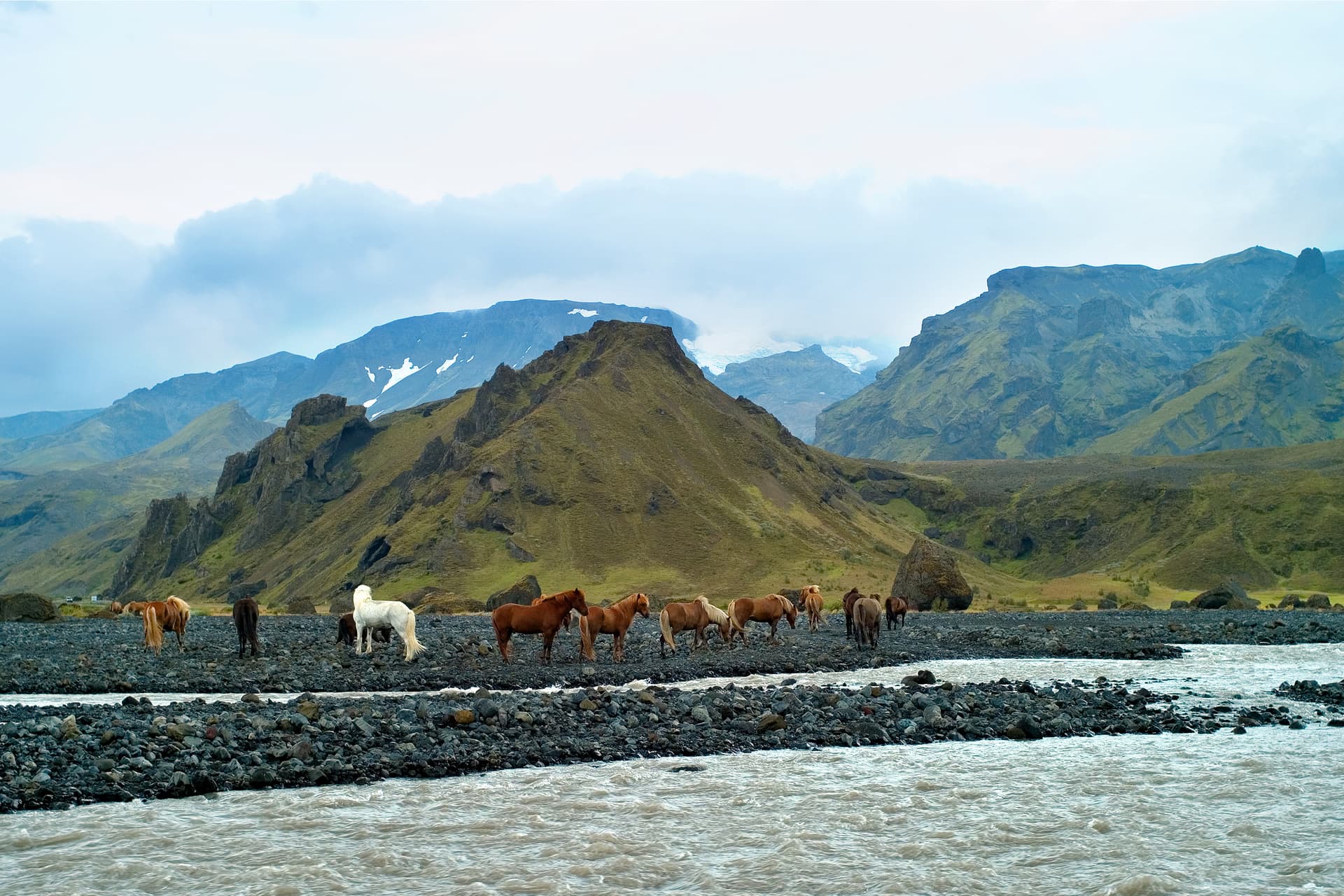Herd of horses on rocky river bank with green mountains and glacier in Thorsmork.