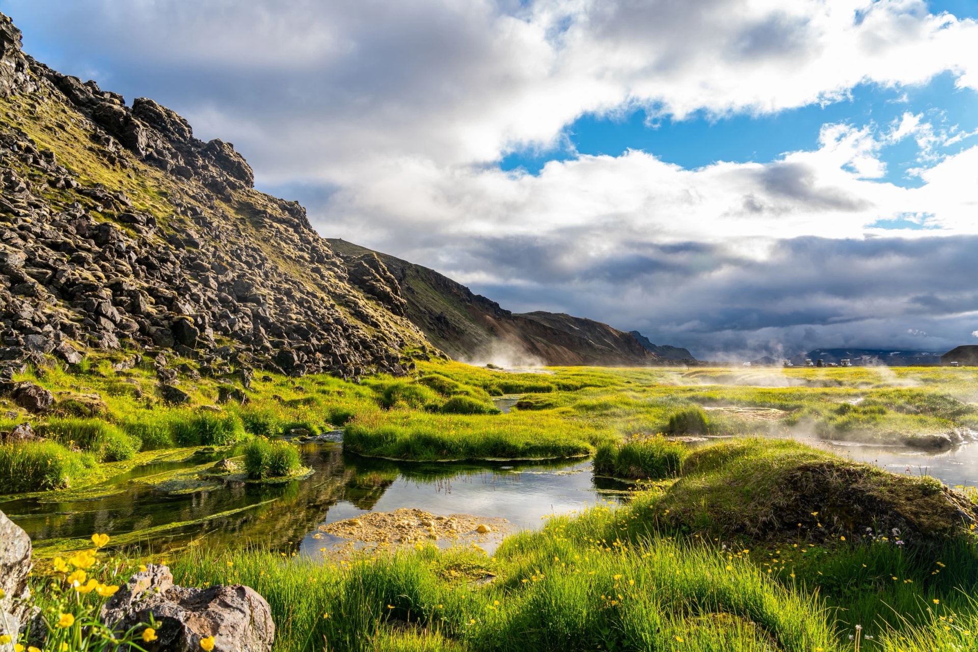 View of geothermal area at Landmannalaugar valley with field of yellow flowers and rough rocky mountain in highlands, Iceland.