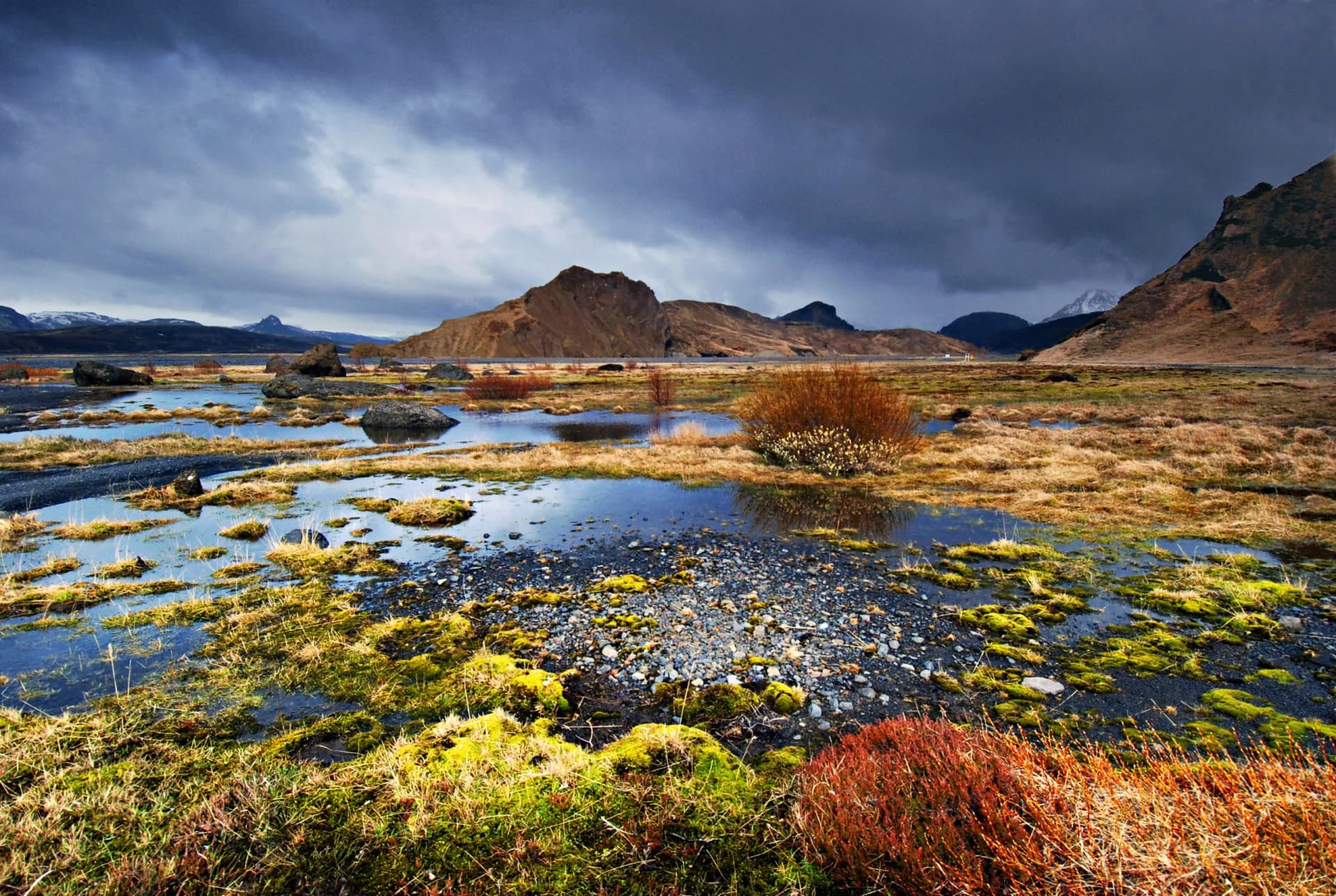 Wetlands with moss and brown grass, dark mountains, and stormy sky in Iceland.