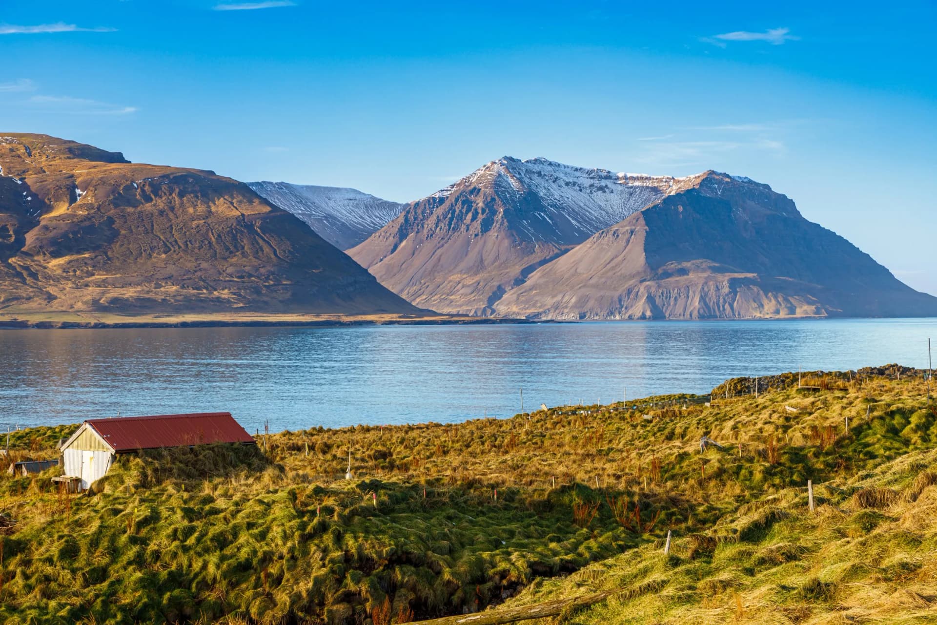 Borgarfjörður eystri in Iceland, a place to watch puffins